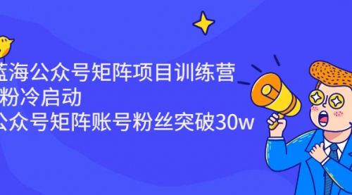 蓝海公众号矩阵项目训练营，0粉冷启动，公众号矩阵账号粉丝突破30w-冉兴资源网