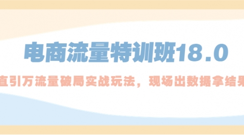 电商流量特训班18.0，直引万流量破局实操玩法，现场出数据拿结果-冉兴资源网