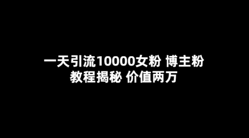 一天引流10000女粉，博主粉教程揭秘（价值两万）-冉兴资源网