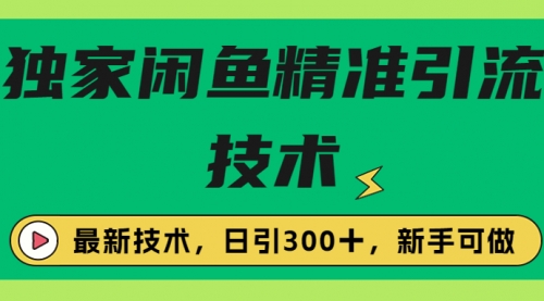 独家闲鱼引流技术，日引300＋实战玩法-冉兴资源网