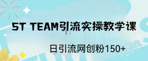 ST TEAM引流实操课，日引流网创粉100+-冉兴资源网