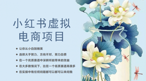 小红书虚拟电商从0到1，让你从小白到精英（20节实操课程）-冉兴资源网