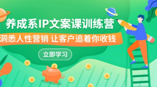 IP文案课训练营，文案心法的天花板 洞悉人性营销-冉兴资源网