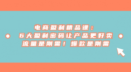 电商盈利精品课：6大盈利，密码让产品更好卖，流量是刚需-冉兴资源网