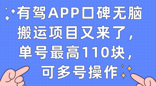 有驾APP口碑无脑搬运项目又来了，单号最高110块，可多号操作-冉兴资源网