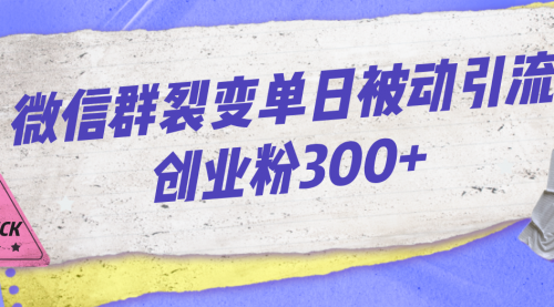 微信群裂变单日被动引流创业粉300+-冉兴资源网