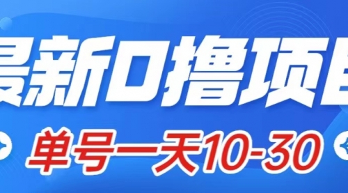 最新0撸小项目：星际公民，单账号一天10-30，可批量操作-冉兴资源网