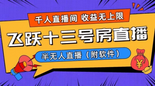 爆火飞跃十三号房半无人直播，一场直播上千人，日入过万！-冉兴资源网