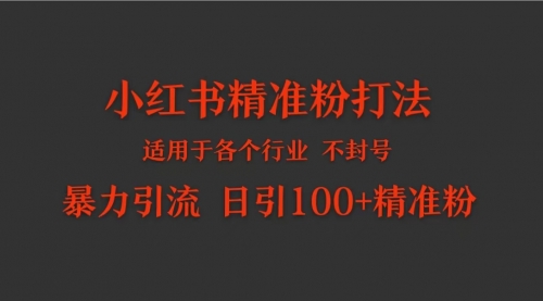 小红书各个行业适用的精准粉暴力引流打法 日引100+精准粉-冉兴资源网