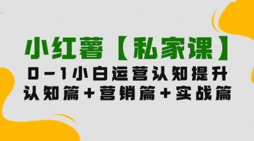 小红薯【私家课】0-1玩赚小红书内容营销，认知篇+营销篇+实战篇（11节课）-冉兴资源网