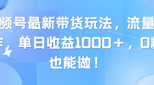 视频号最新带货玩法，流量爆炸，单日收益1000＋，0粉也能做！-冉兴资源网