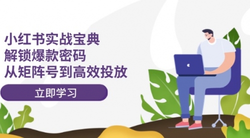 小红书实战宝典：解锁爆款密码，从矩阵号到高效投放-冉兴资源网