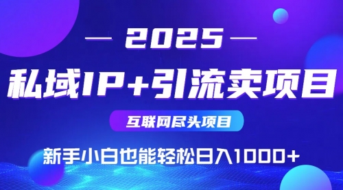 私域IP+卖项目，普通人小白也能轻松实现日入1000+-冉兴资源网