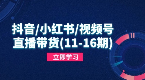 抖音/小红书/视频号/直播带货(11-16期)，快速掌握平台规则，打造爆款内容-冉兴资源网