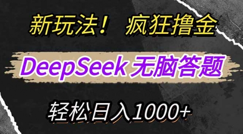 新玩法！利用DeepSeek，复制粘贴，无脑简单答题，疯狂撸新平台收益-冉兴资源网